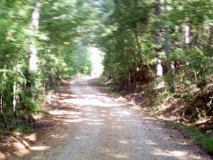 paths of psychics