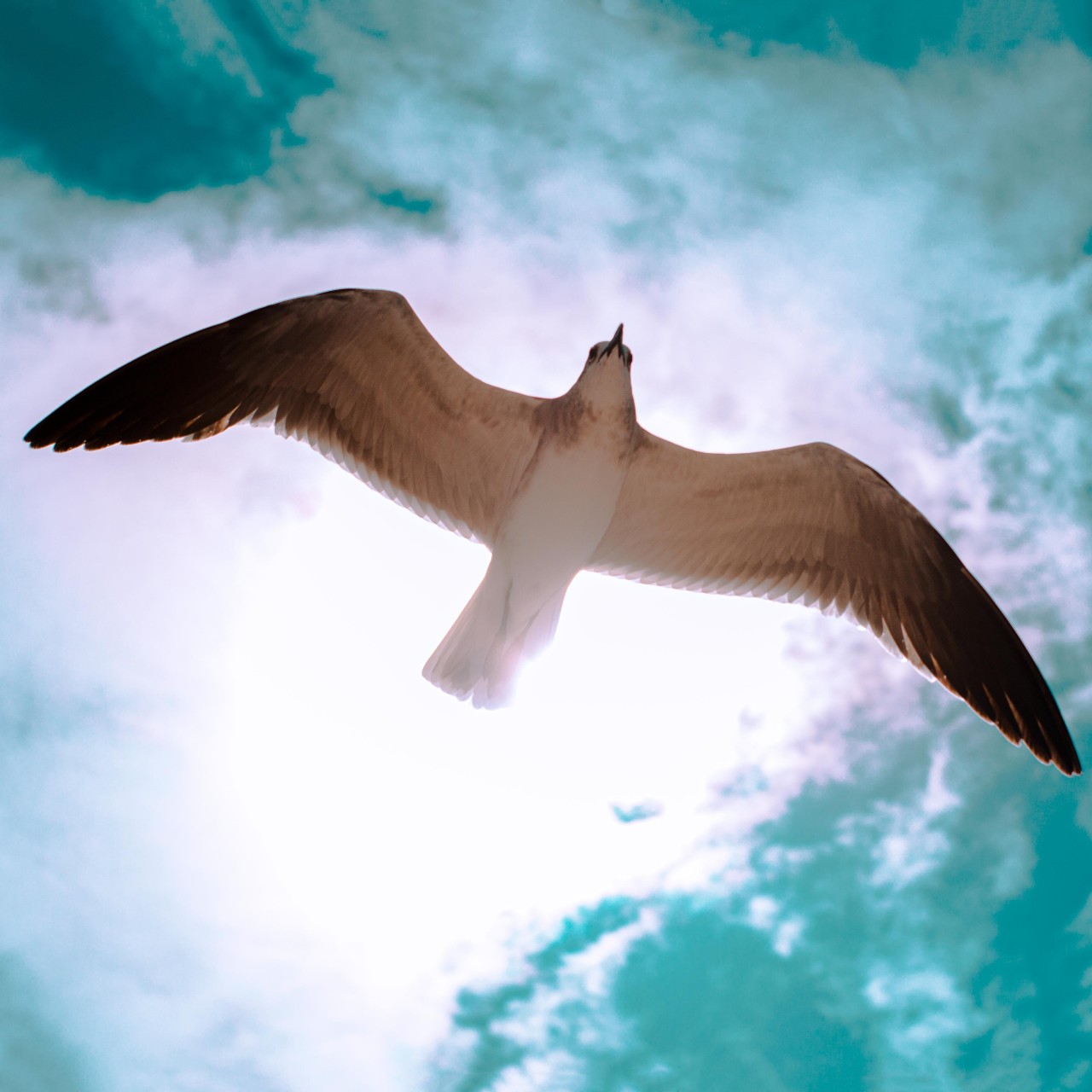 Difference Between a Psychic Medium and a Channel Medium