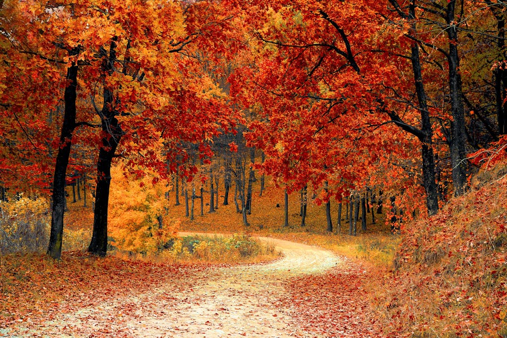 paths of psychics