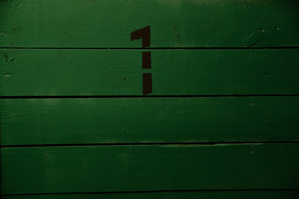life path 1