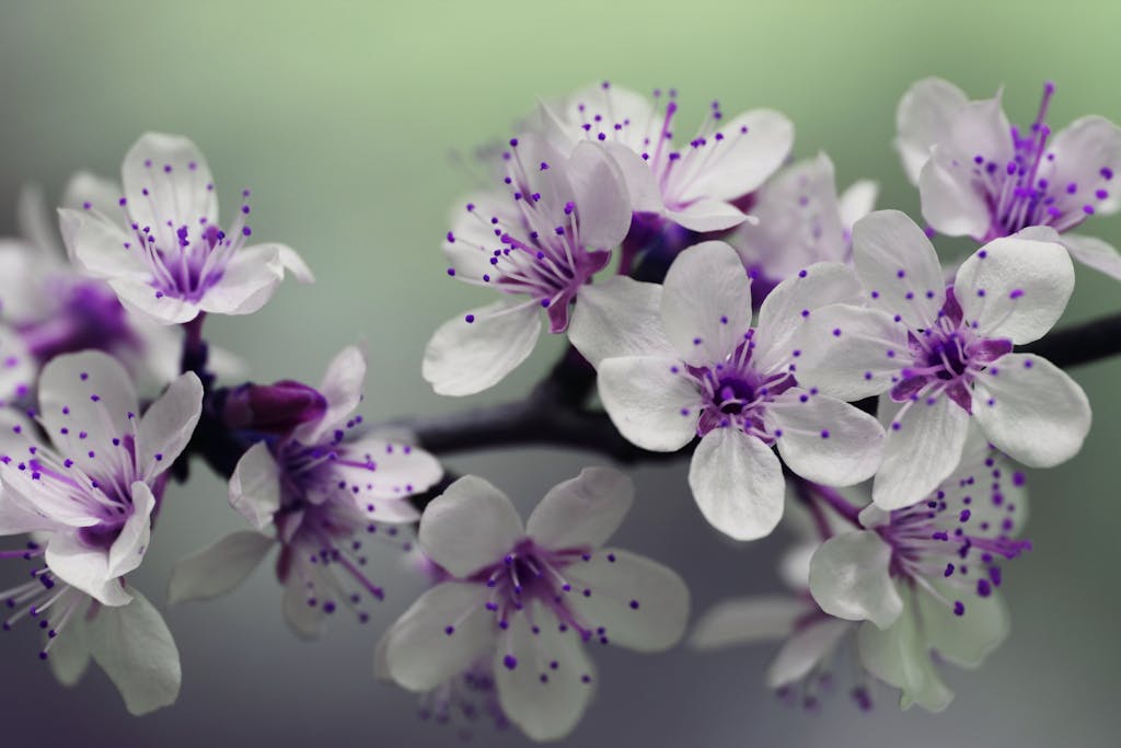 psychic medium development
