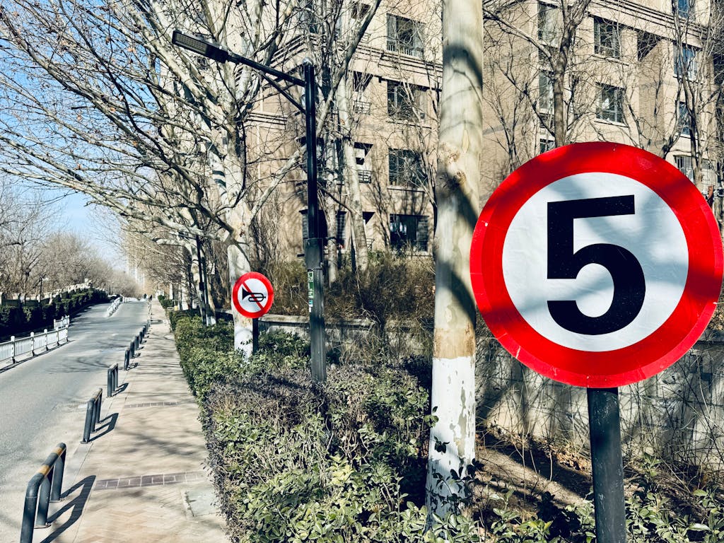 life path 5