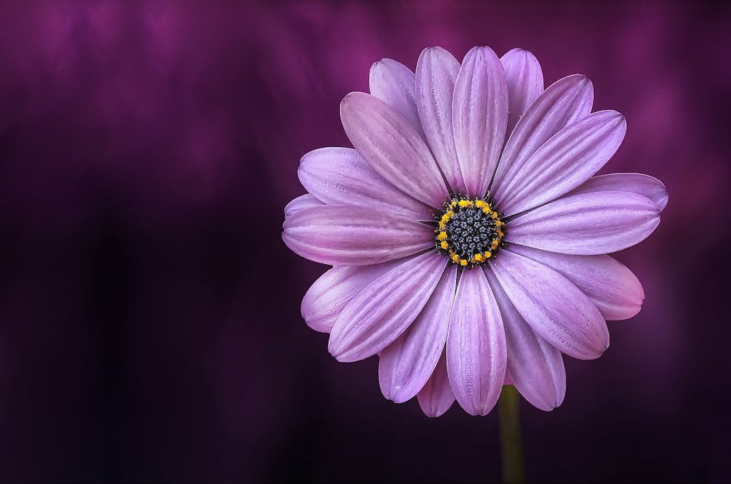 psychic medium development