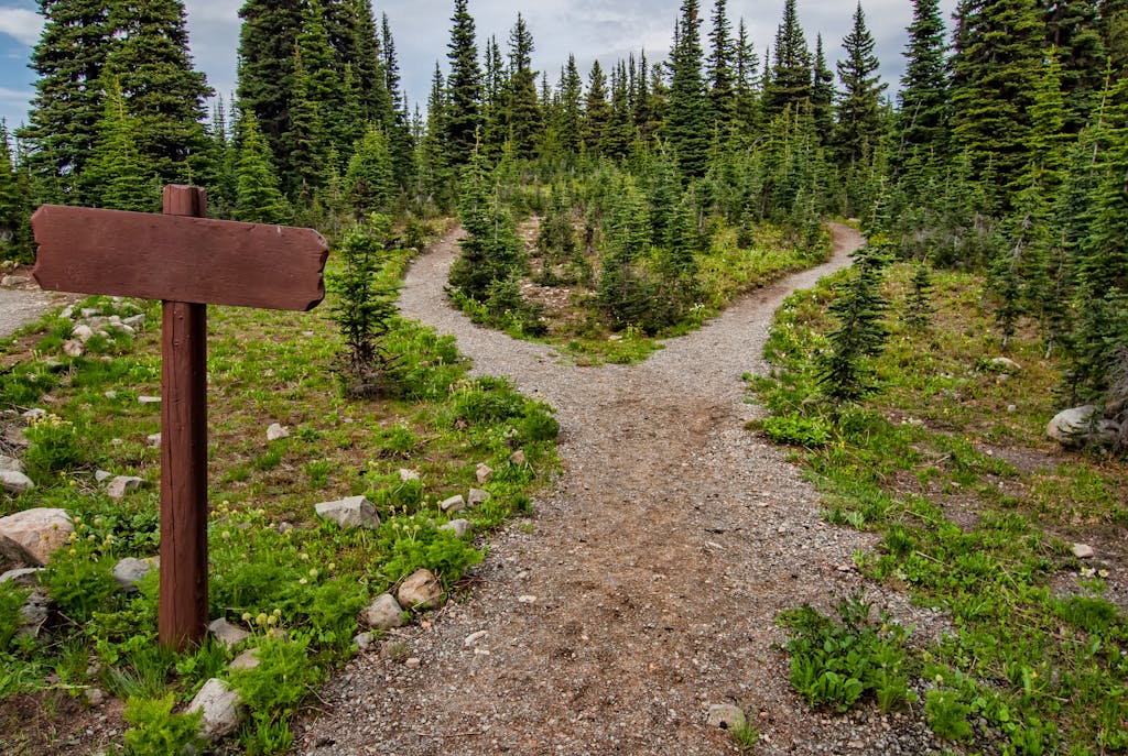 paths of psychics