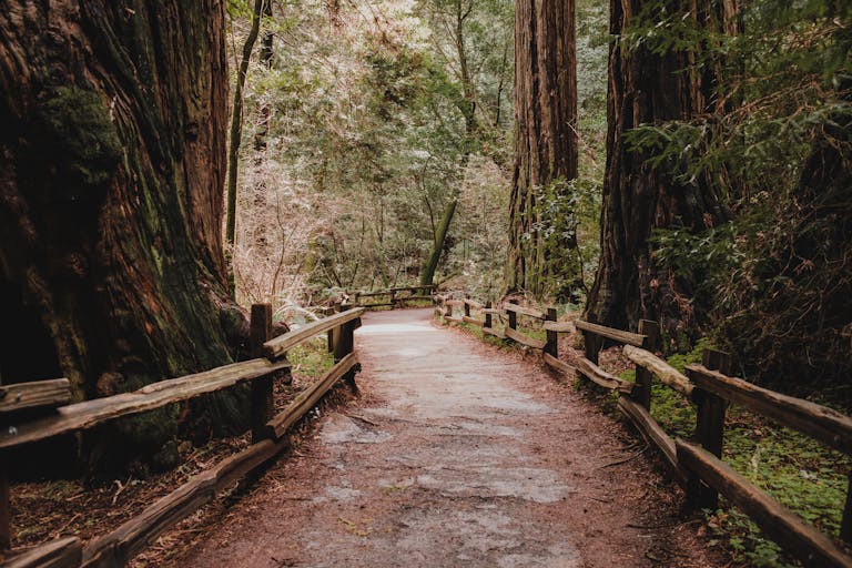 empaths and creative gifts