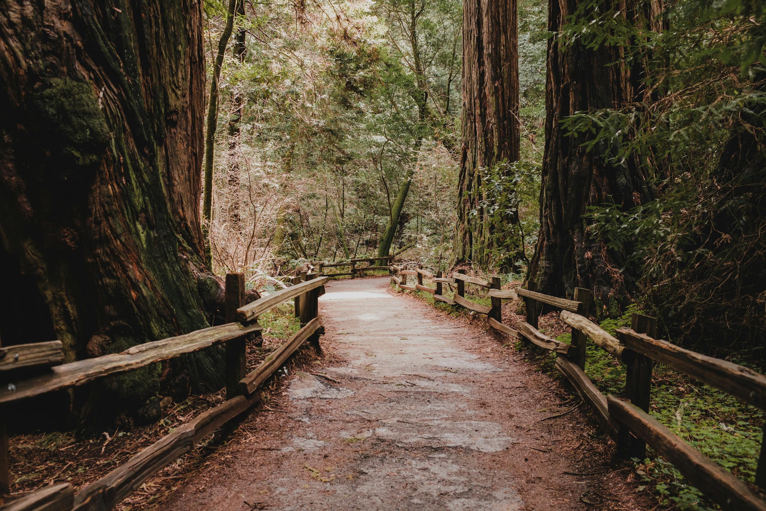 empaths and creative gifts