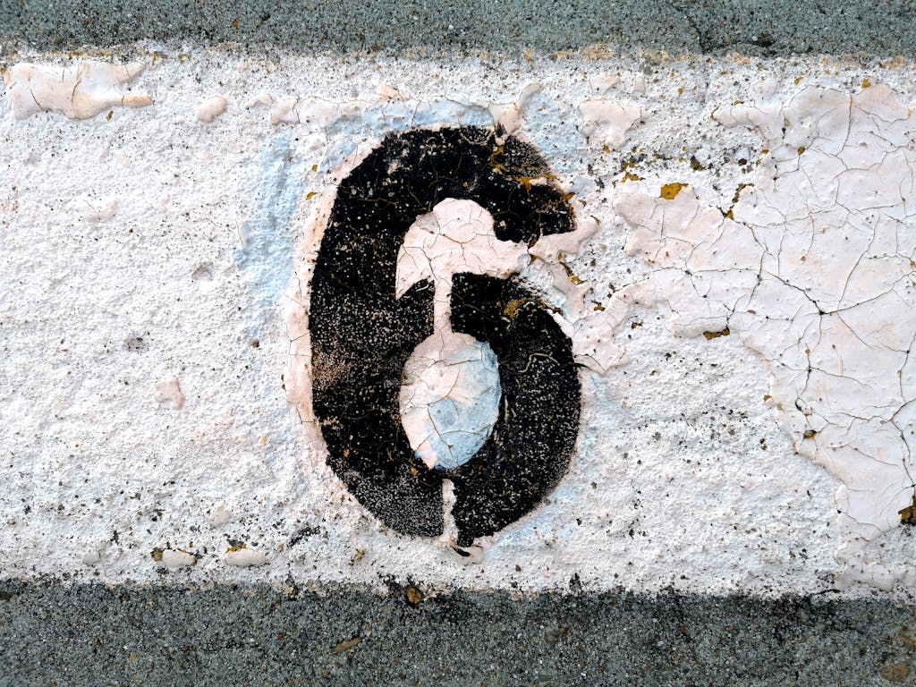 life path 6
