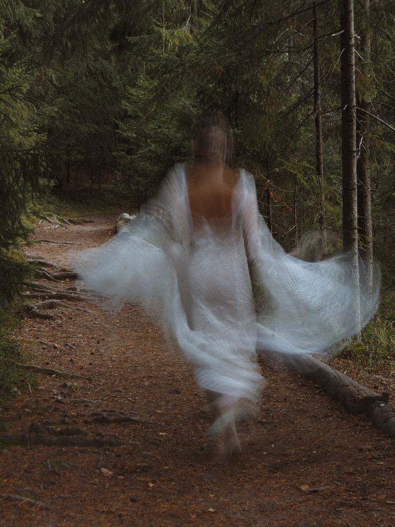 meet your spirit guide
