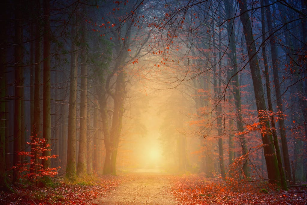 paths of psychics