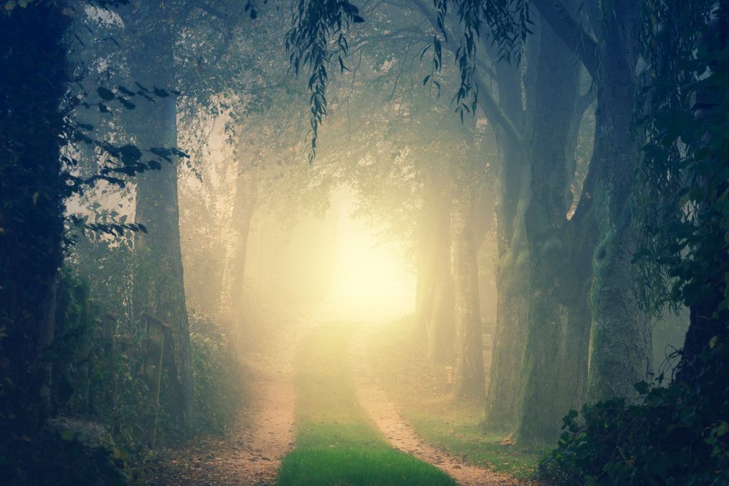 paranormal experiences and mediumship