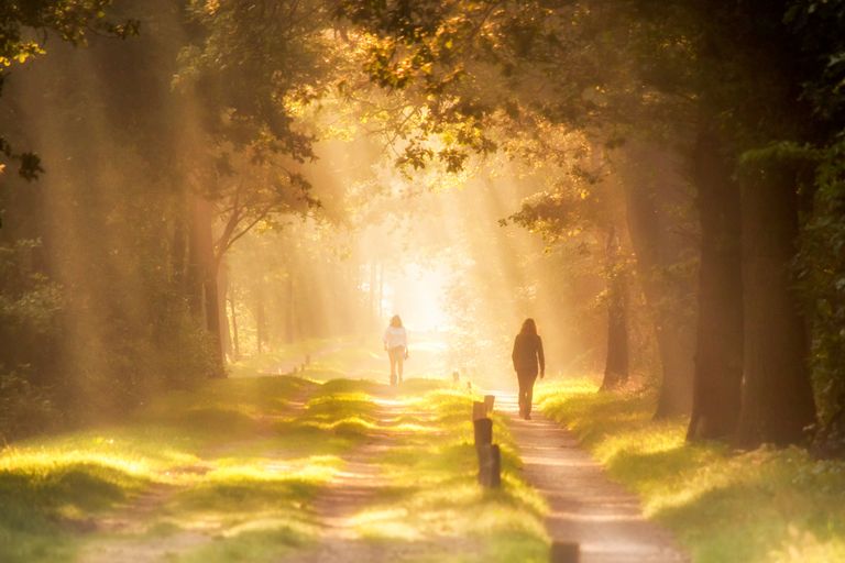 paranormal experiences and mediumship
