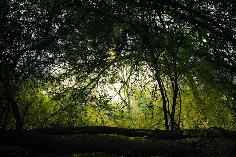 energy clearing for empaths