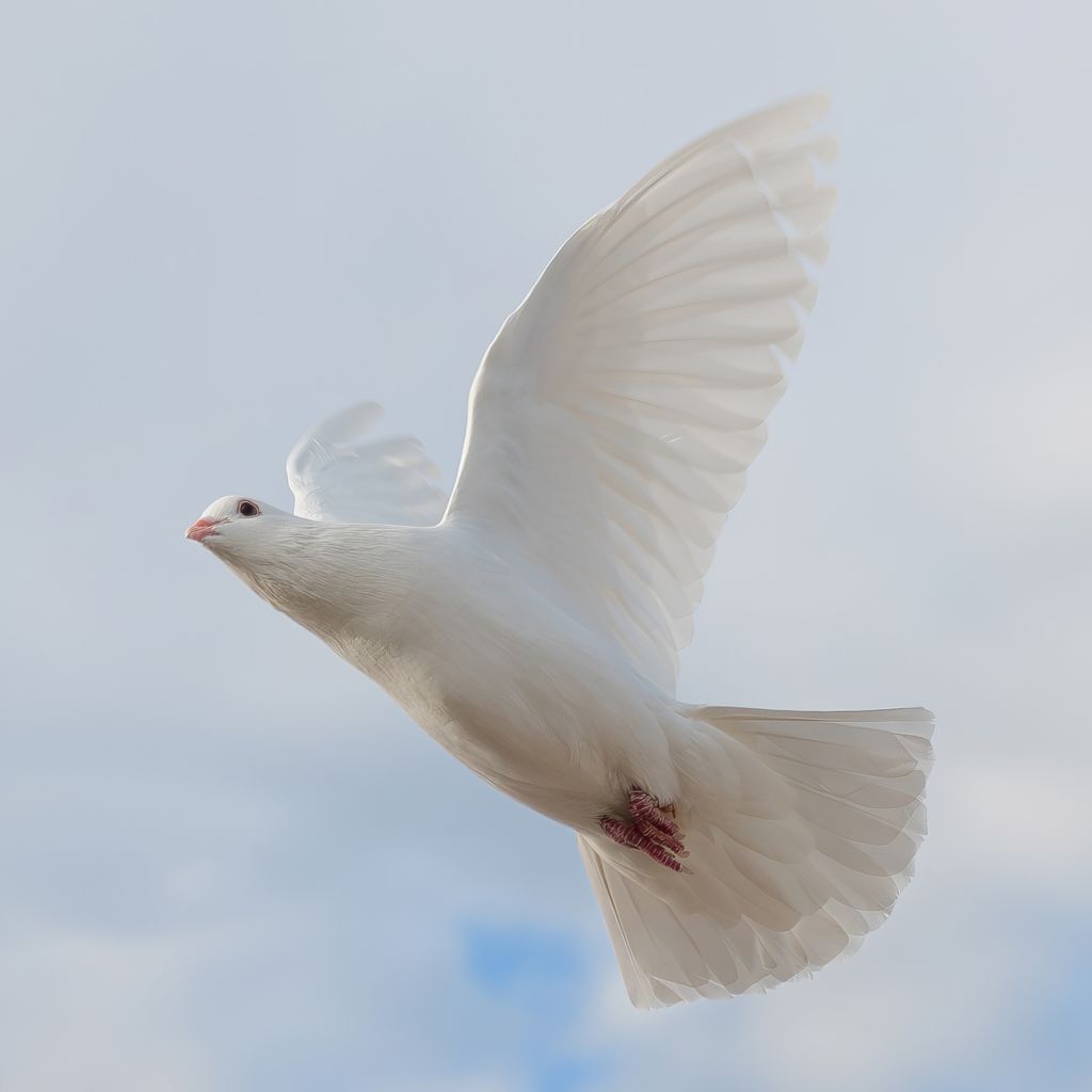 spirit visits from the other side