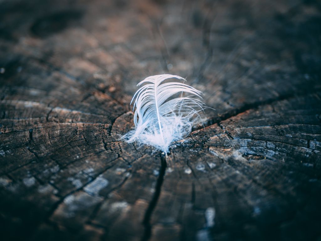 spiritual meaning of a white feather