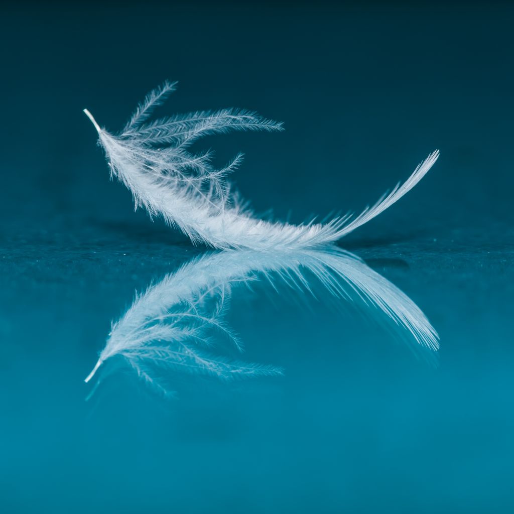 spiritual meaning of a white feather