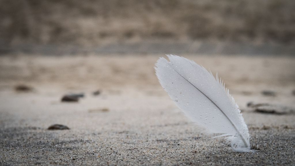 spiritual meaning of a white feather