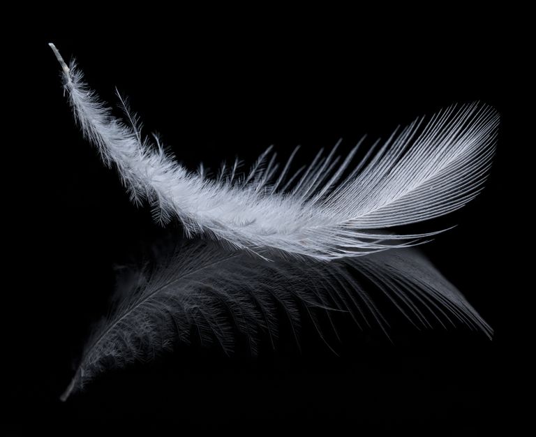 spiritual meaning of a white feather