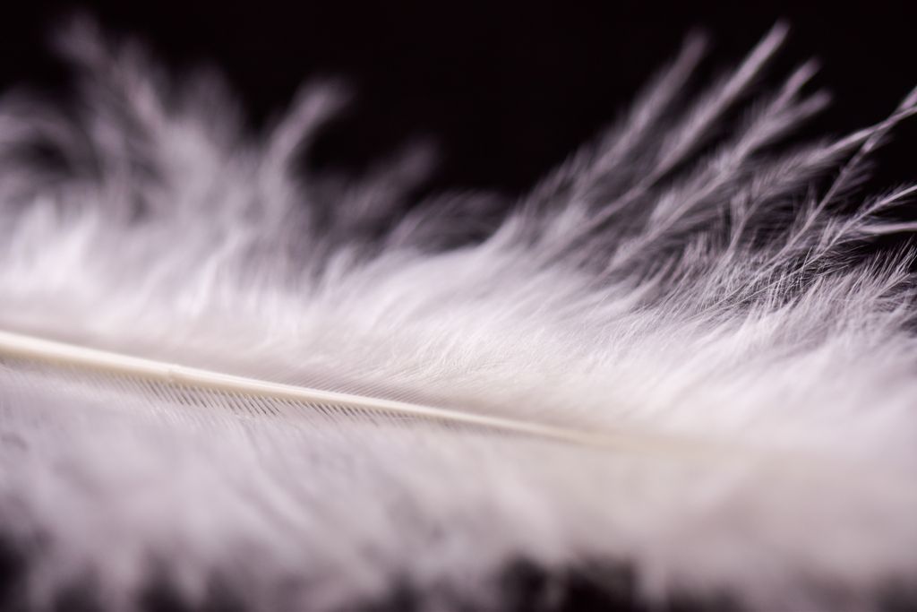 spiritual message of a white feather
