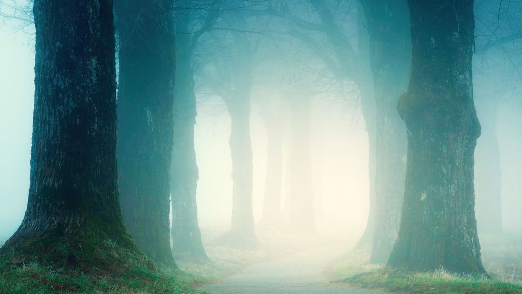 what you can do with mediumship