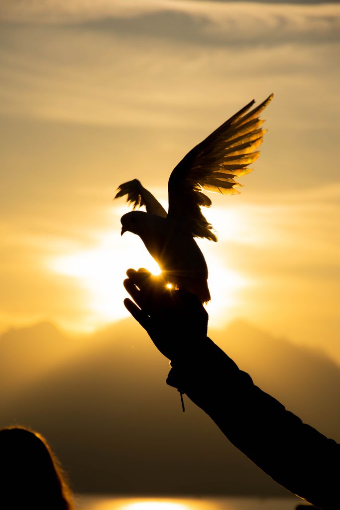 what you can do with mediumship